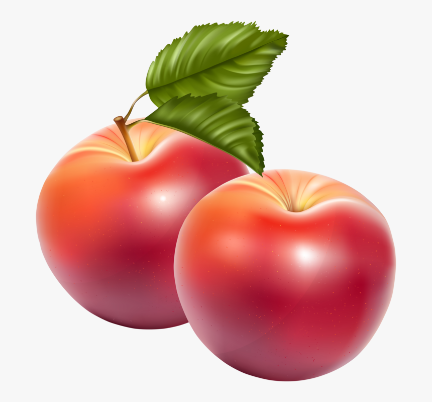 Detail Fruit Png Free Nomer 4