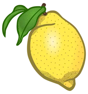 Detail Limon Clipart Nomer 19