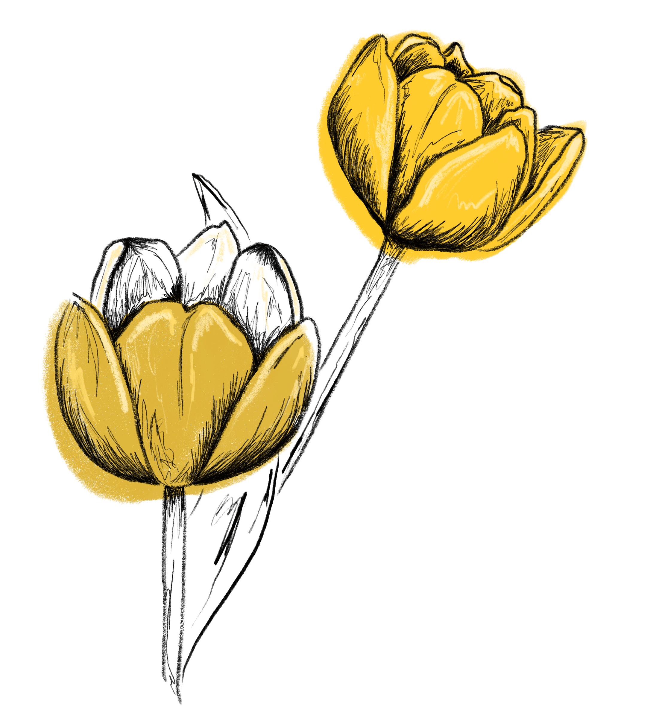 Detail Mai Blumen Nomer 17