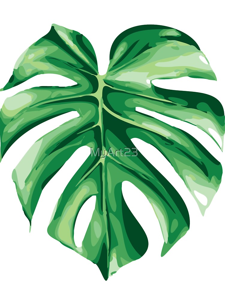 Detail Monstera Kinder Nomer 2