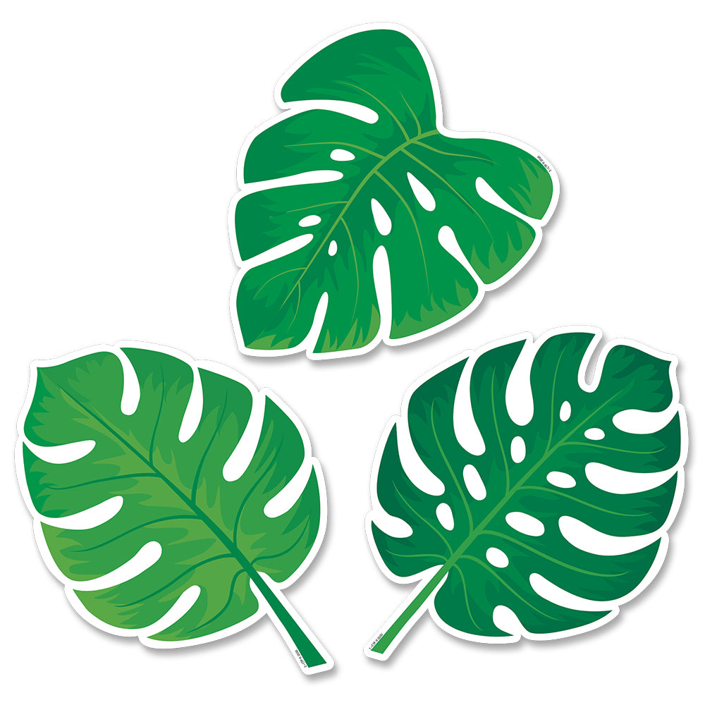 Detail Monstera Kinder Nomer 8