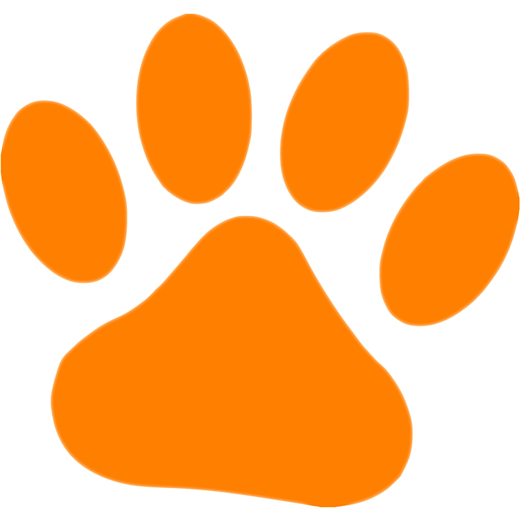 Detail Rote Main Coon Nomer 6