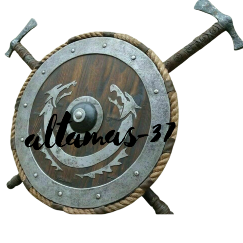 Detail Schild Wikinger Nomer 14