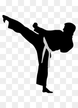 Detail Taekwondo Thalwil Nomer 4