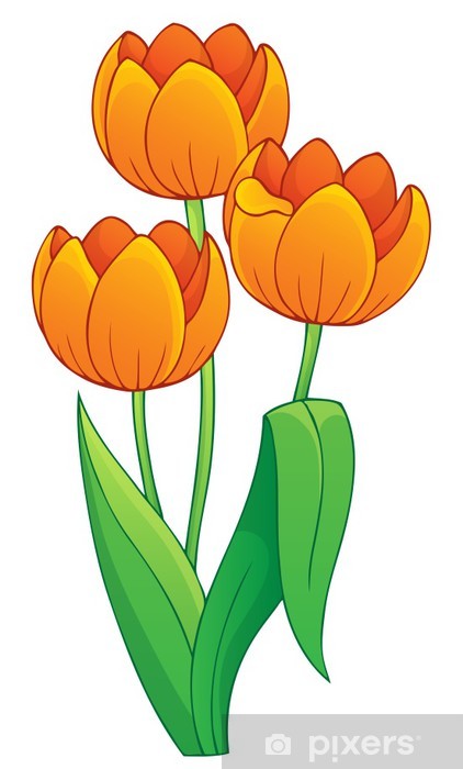 Tulpe Comic - KibrisPDR