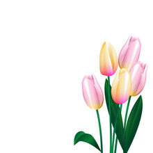 Detail Tulpe Comic Nomer 23