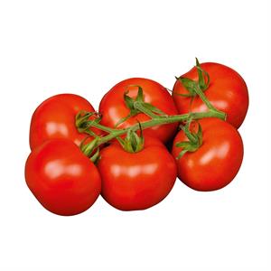 Detail Aufgesprungene Tomaten Nomer 6