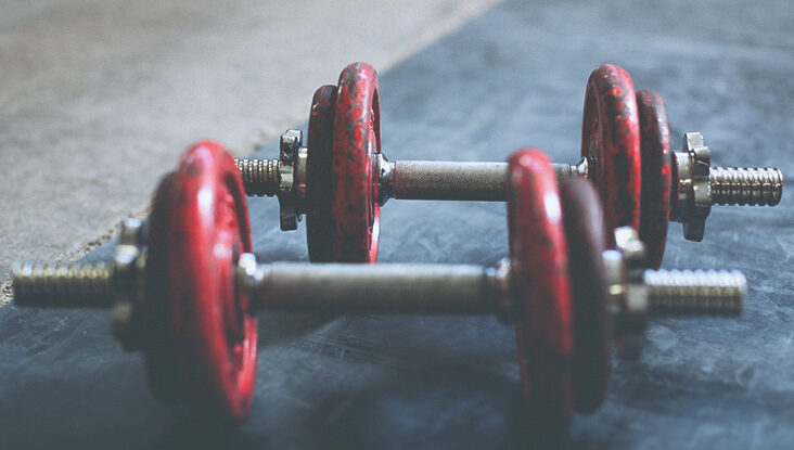 Detail Dumbbell Image Nomer 32