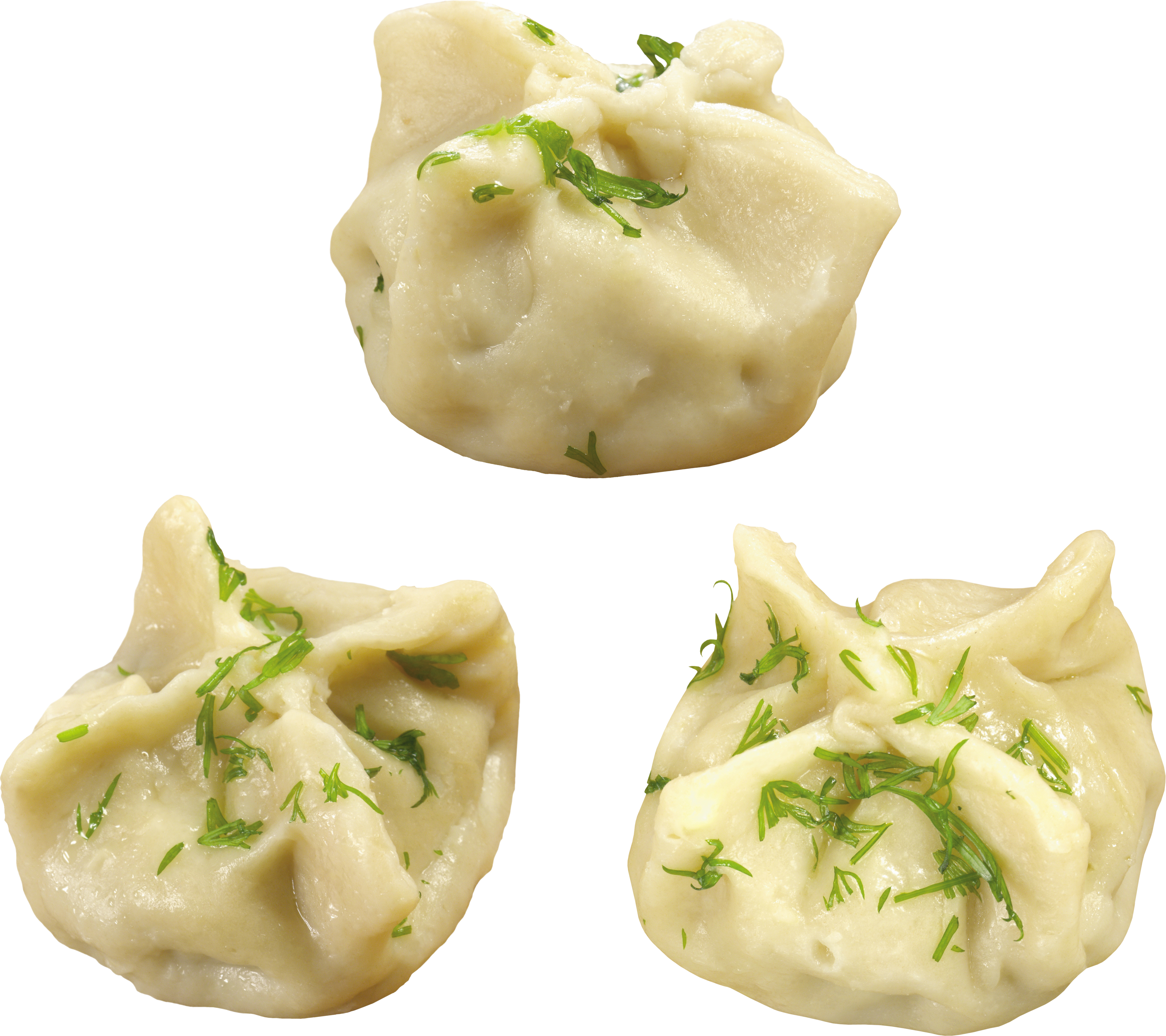 Detail Dumpling Png Nomer 12