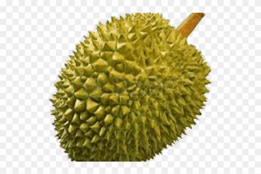 Detail Durian Animasi Png Nomer 22