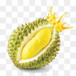 Detail Durian Animasi Png Nomer 33