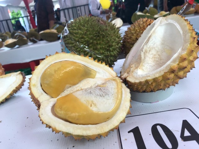 Detail Durian Jarum Mas Nomer 10