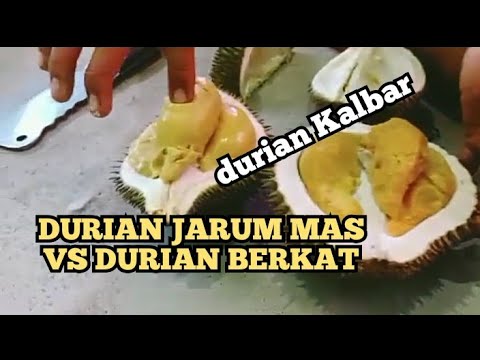 Detail Durian Jarum Mas Nomer 18