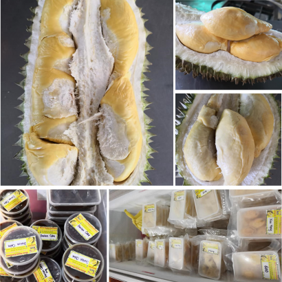 Detail Durian Jarum Mas Nomer 23