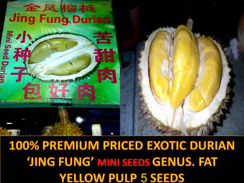 Detail Durian Jarum Mas Nomer 26