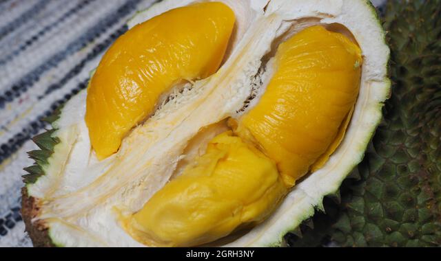 Detail Durian Jarum Mas Nomer 29