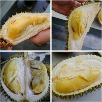 Detail Durian Jarum Mas Nomer 32