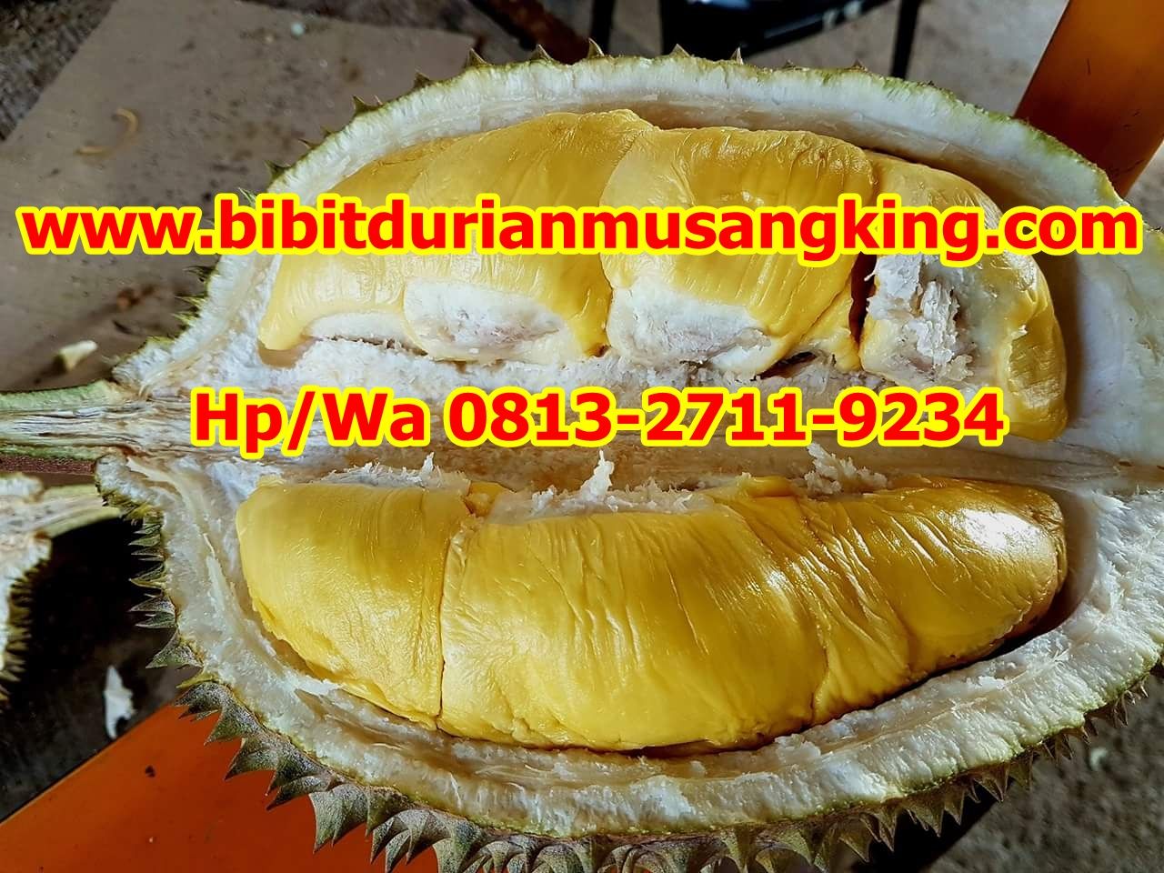 Detail Durian Jarum Mas Nomer 33