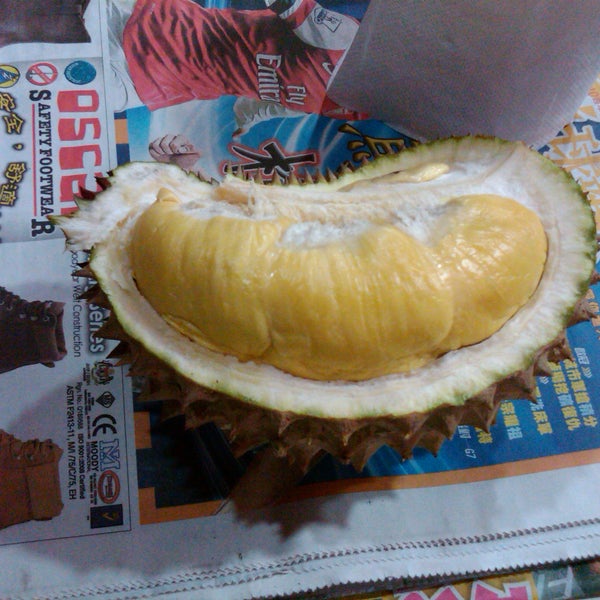 Detail Durian Jarum Mas Nomer 51