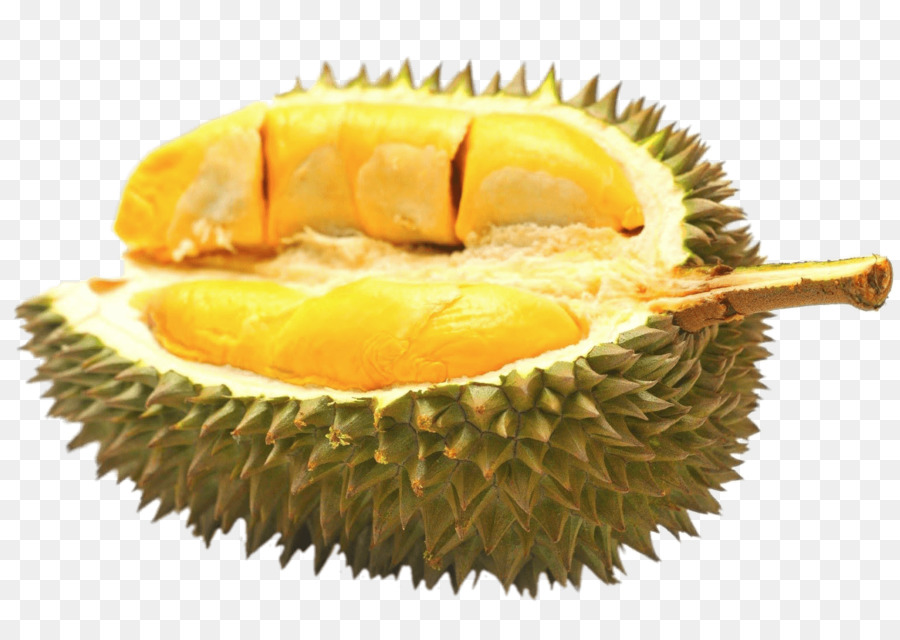 Detail Durian Kupas Png Nomer 10