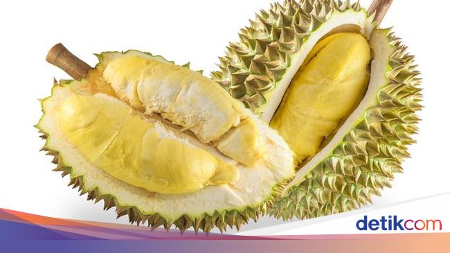 Detail Durian Monthong Bawor Nomer 2