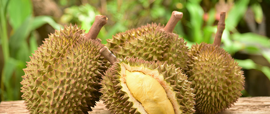 Detail Durian Monthong Bawor Nomer 12