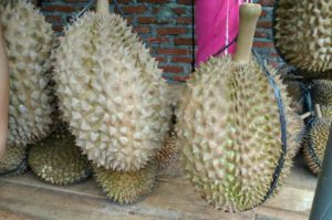 Detail Durian Monthong Bawor Nomer 37