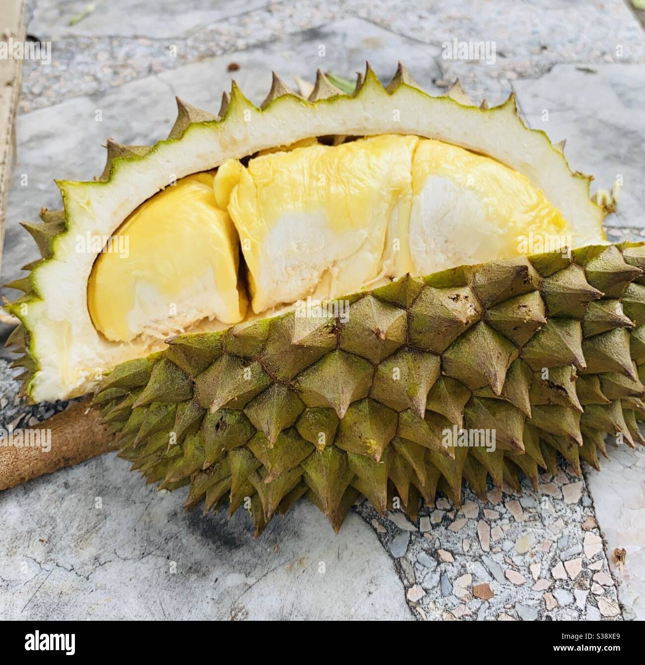Detail Durian Oren Nomer 16