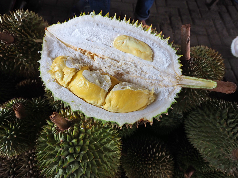 Detail Durian Oren Nomer 22