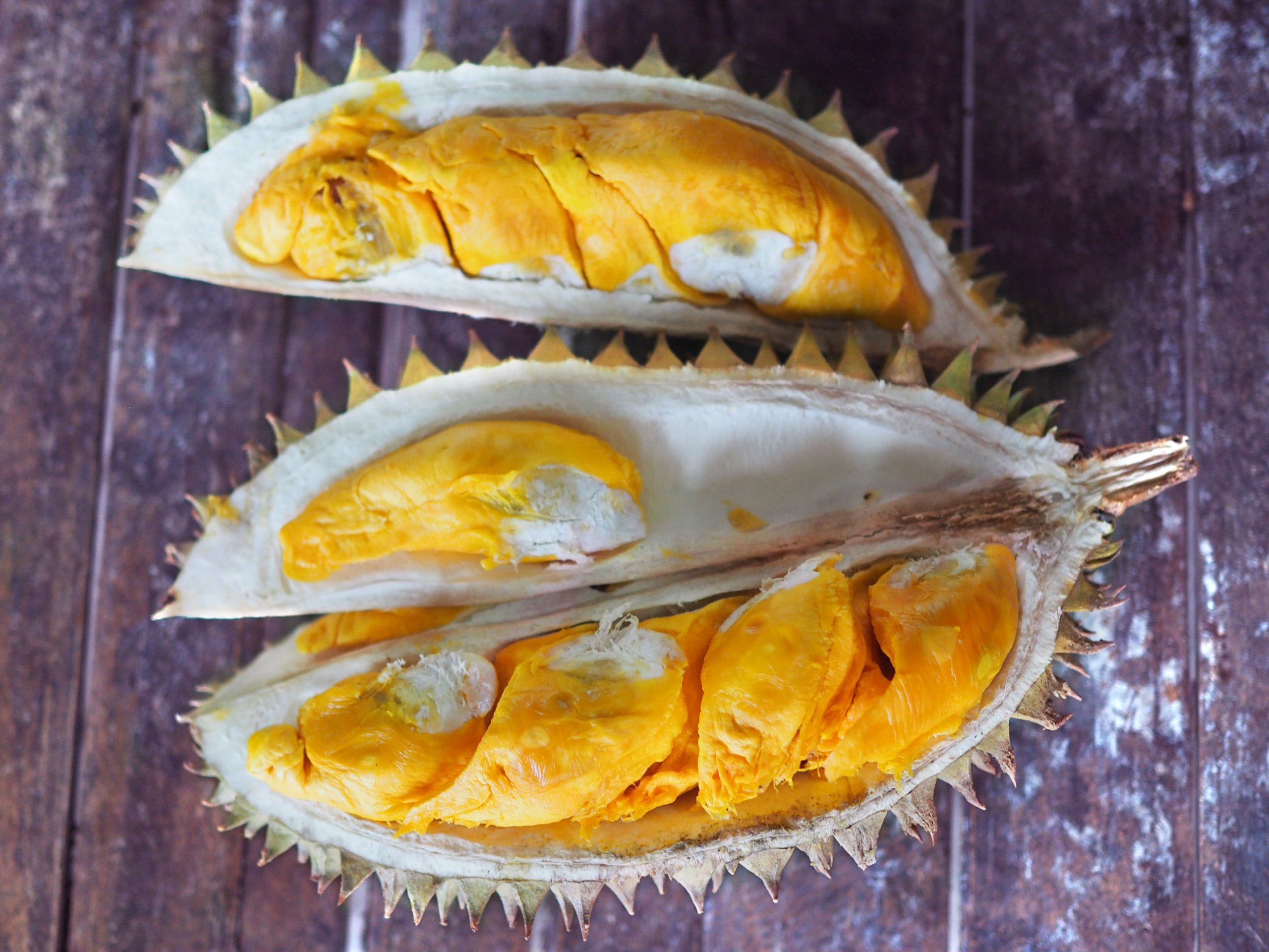 Detail Durian Oren Nomer 28