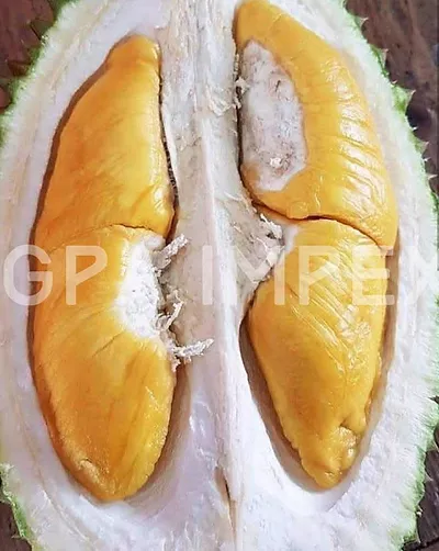 Detail Durian Oren Nomer 34