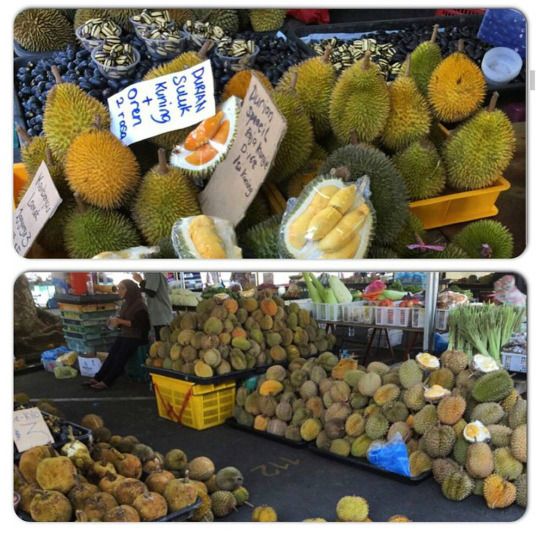 Detail Durian Oren Nomer 36