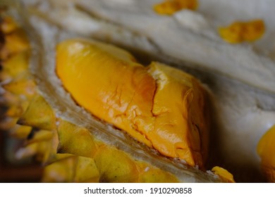 Detail Durian Oren Nomer 48