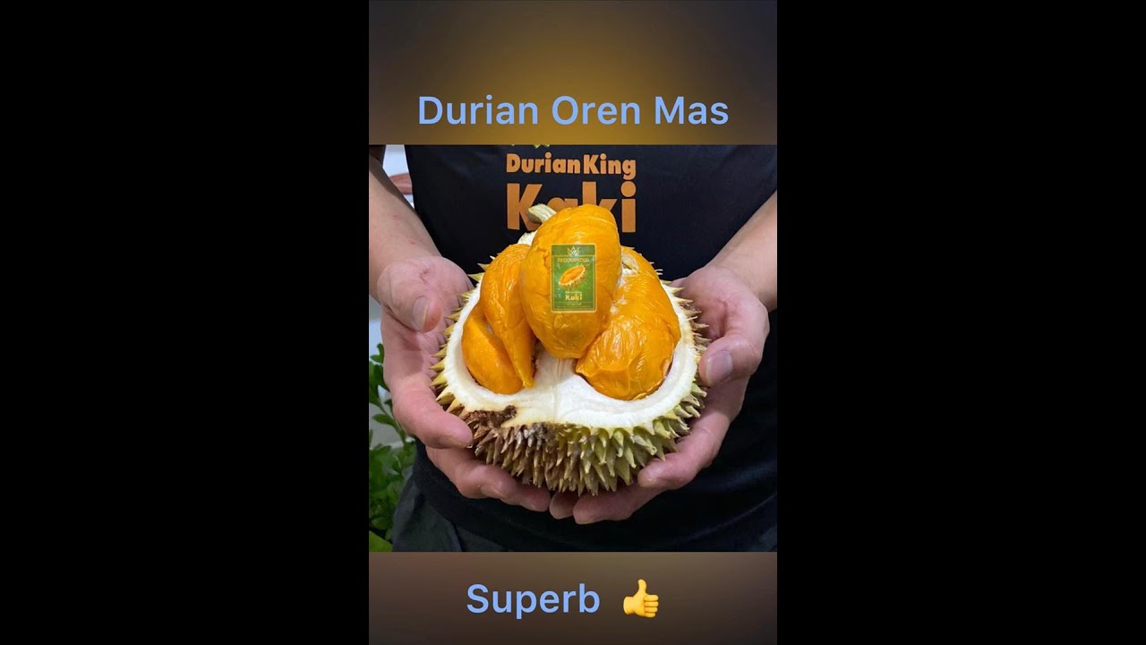 Detail Durian Oren Nomer 52
