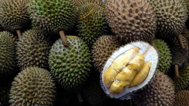 Detail Durian Tidak Berduri Nomer 23