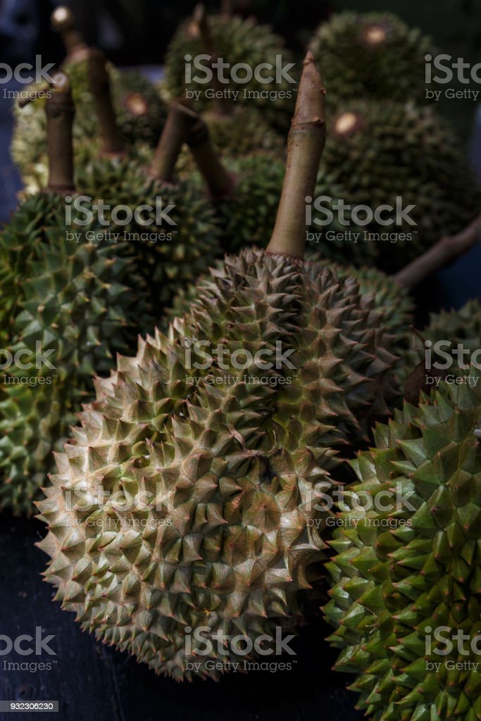 Detail Durian Tidak Berduri Nomer 45