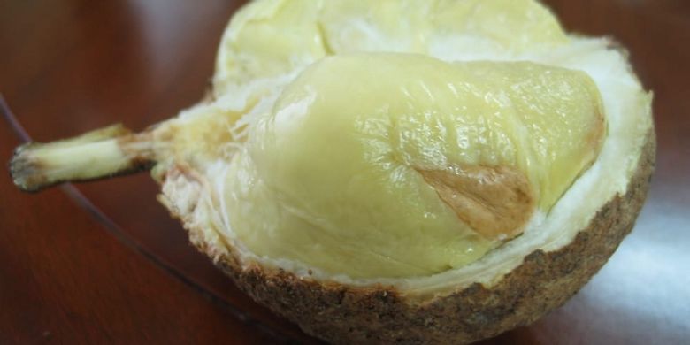 Detail Durian Tidak Berduri Nomer 7