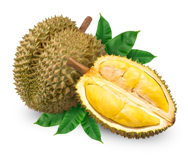 Detail Durian Vector Png Nomer 12