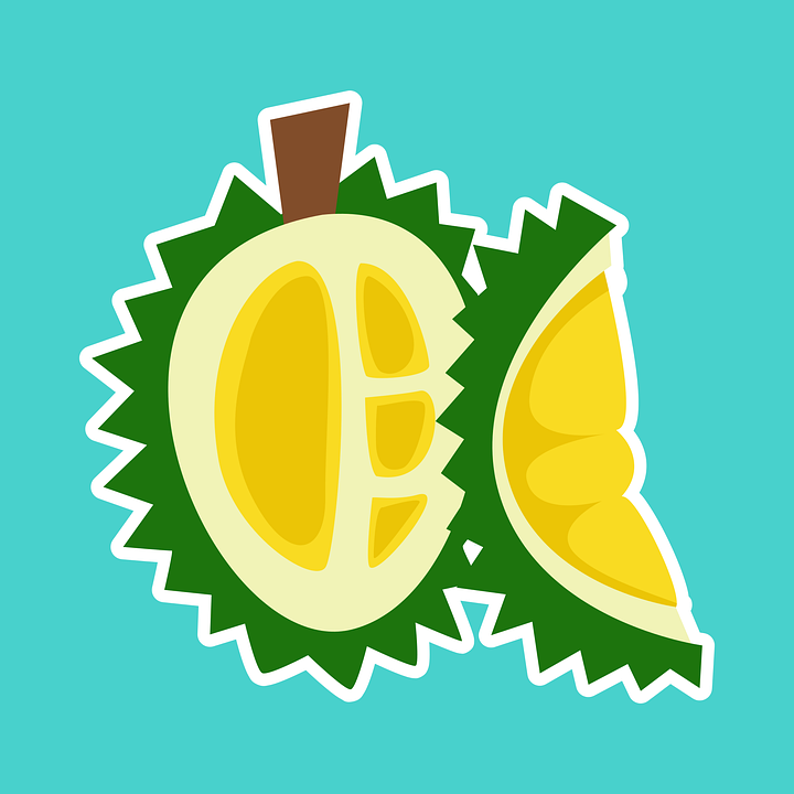 Detail Durian Vector Png Nomer 13