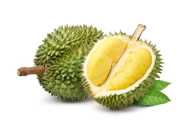 Detail Durian Vector Png Nomer 14