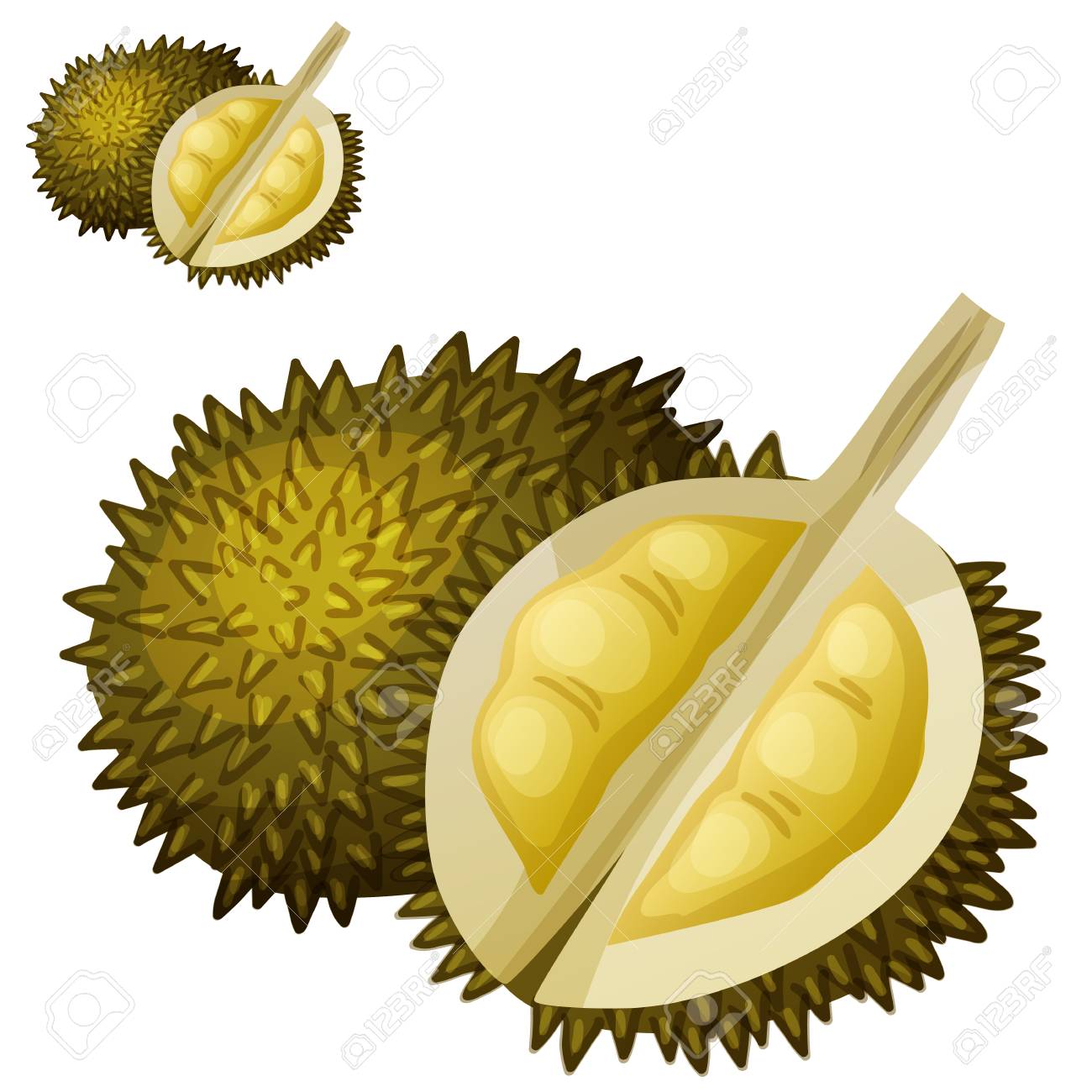 Detail Durian Vector Png Nomer 16