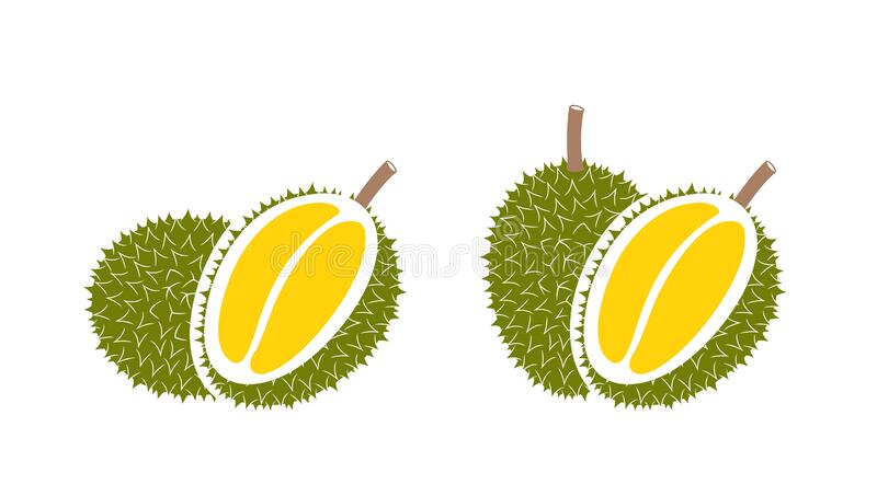 Detail Durian Vector Png Nomer 20