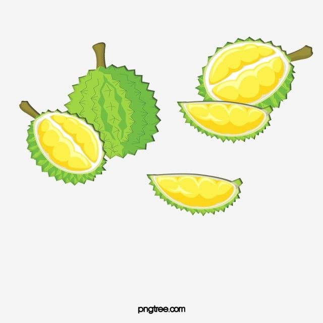 Detail Durian Vector Png Nomer 21
