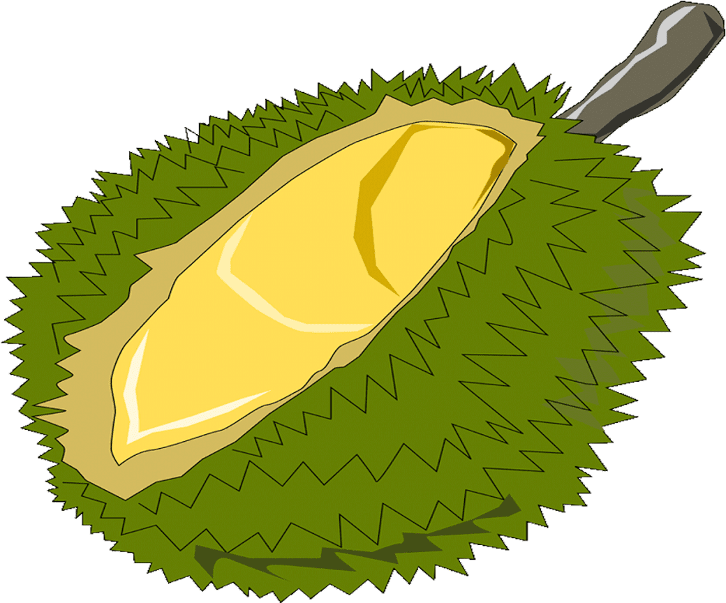 Detail Durian Vector Png Nomer 22