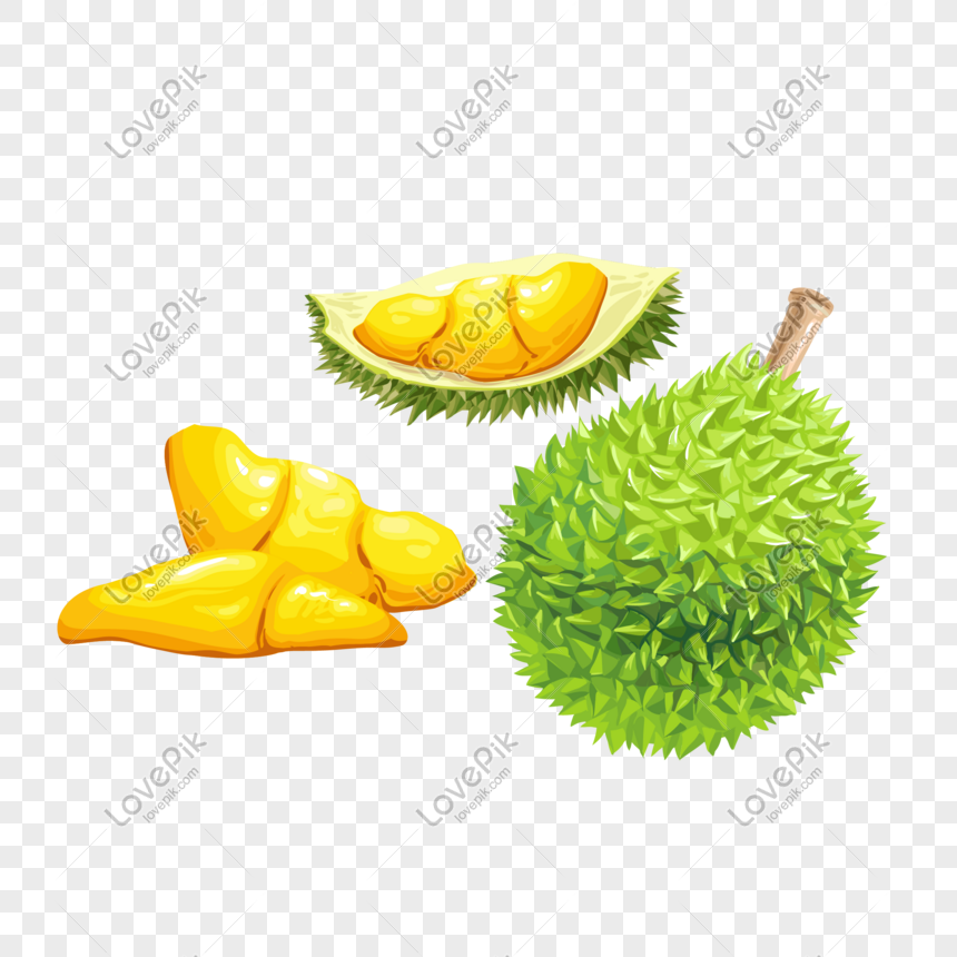 Detail Durian Vector Png Nomer 26