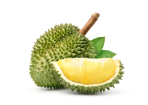 Detail Durian Vector Png Nomer 28