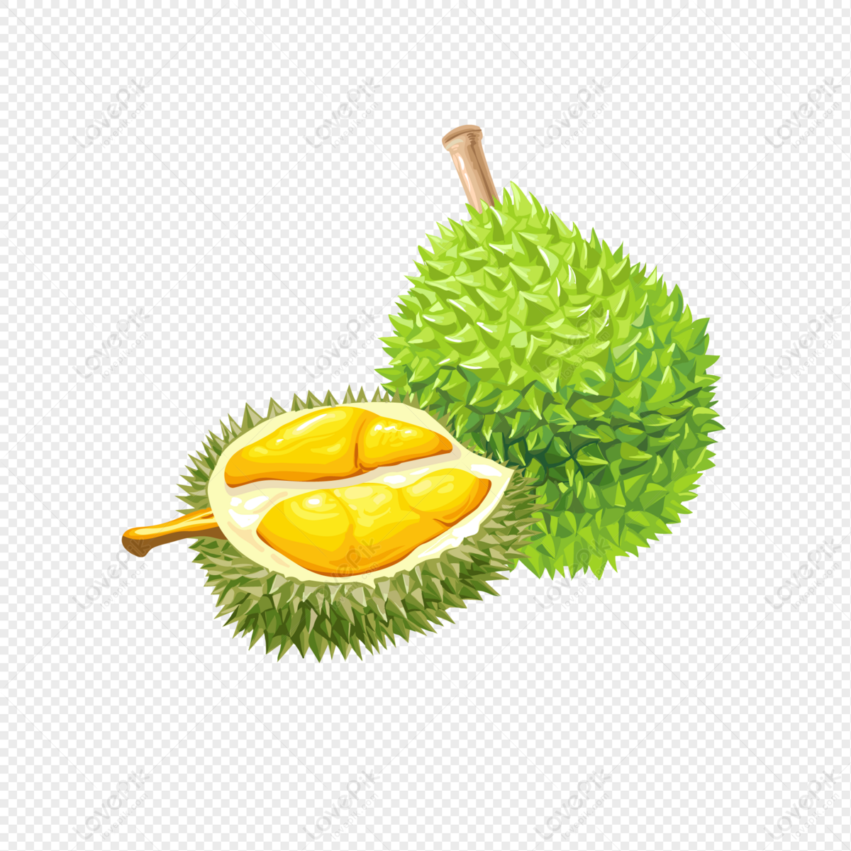 Detail Durian Vector Png Nomer 31