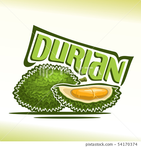 Detail Durian Vector Png Nomer 35