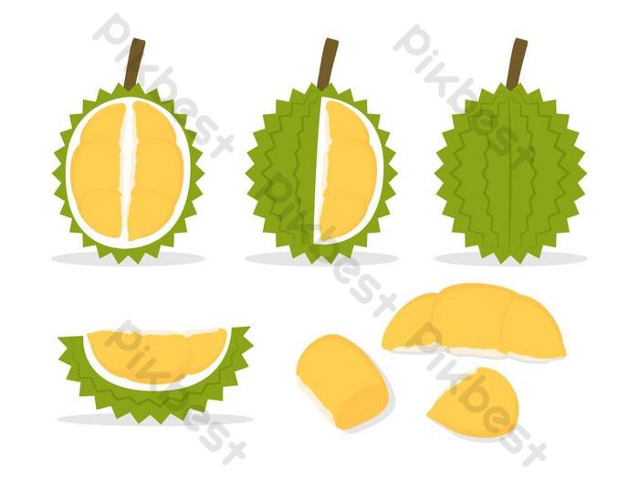 Detail Durian Vector Png Nomer 44