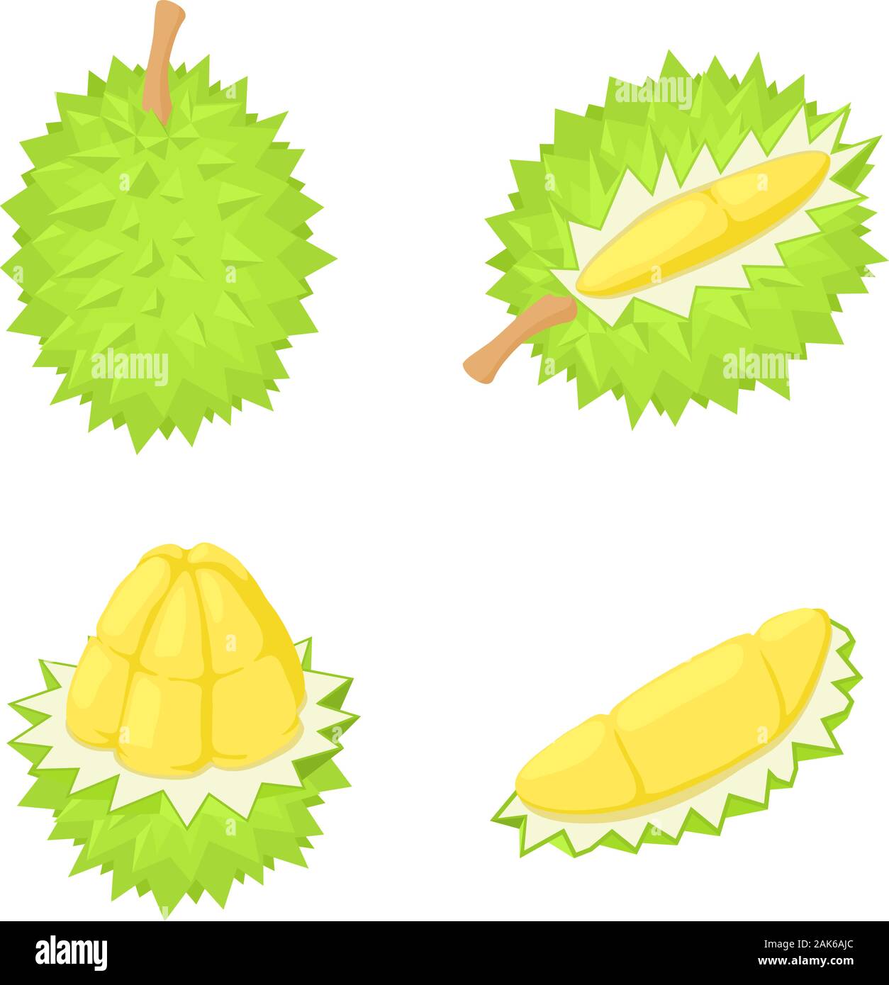 Detail Durian Vector Png Nomer 45